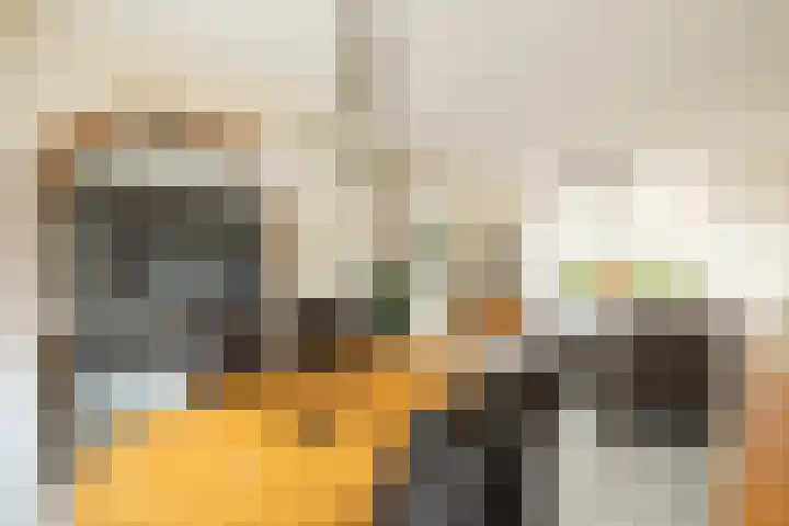 Berkenhove 2 Kwintsheul thumbnail 10