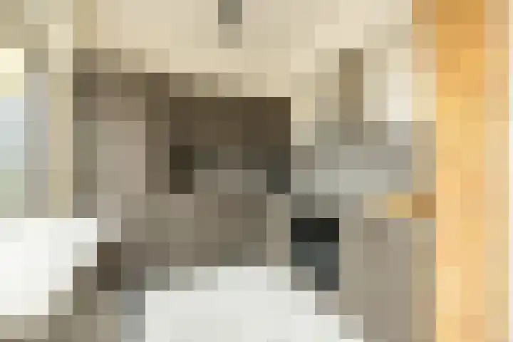 Berkenhove 2 Kwintsheul thumbnail 11