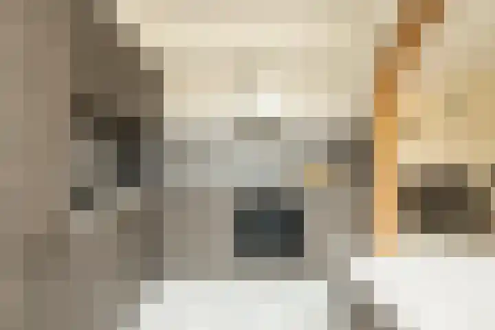 Berkenhove 2 Kwintsheul thumbnail 12