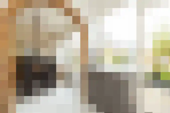 Berkenhove 2 Kwintsheul thumbnail 13