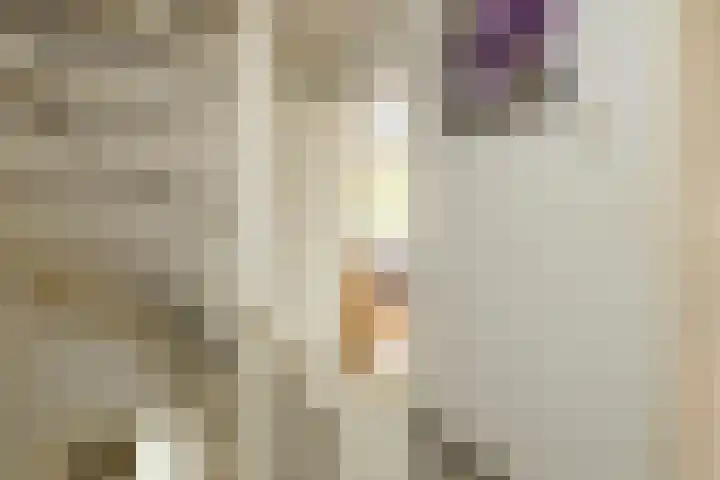 Berkenhove 2 Kwintsheul thumbnail 15