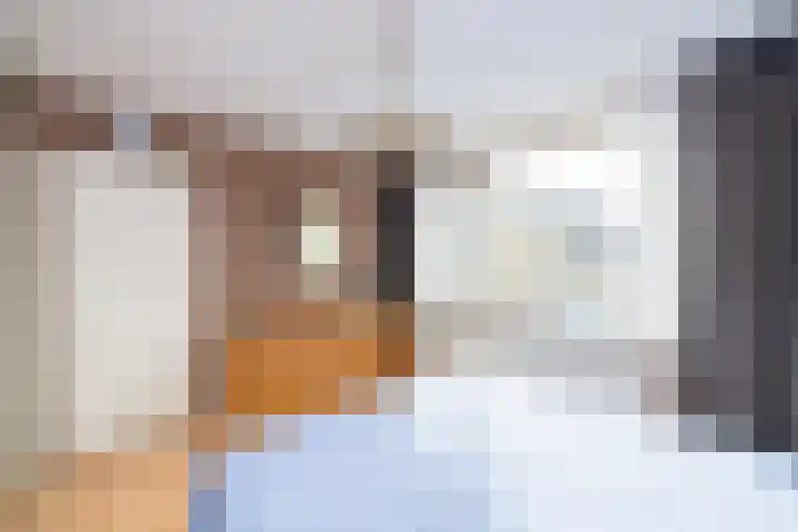 Berkenhove 2 Kwintsheul thumbnail 17