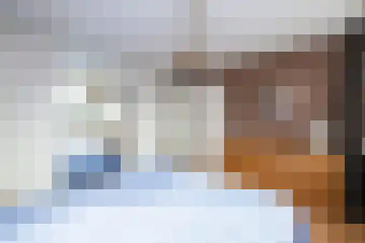 Berkenhove 2 Kwintsheul thumbnail 18