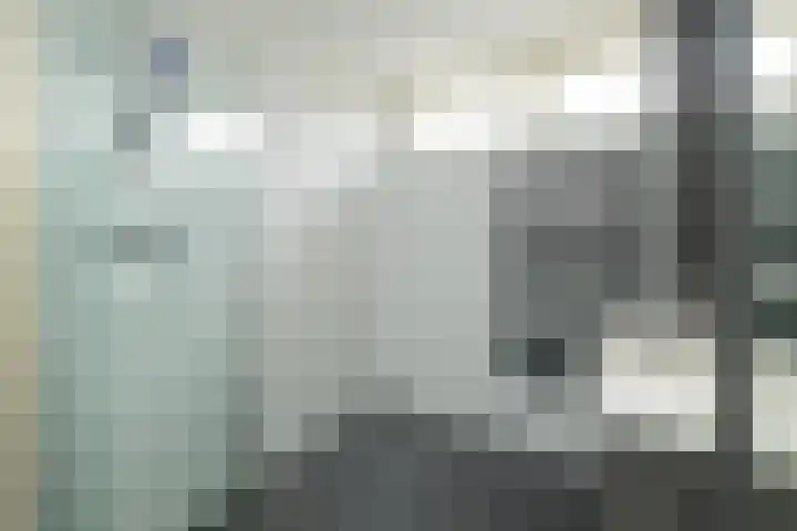 Berkenhove 2 Kwintsheul thumbnail 19