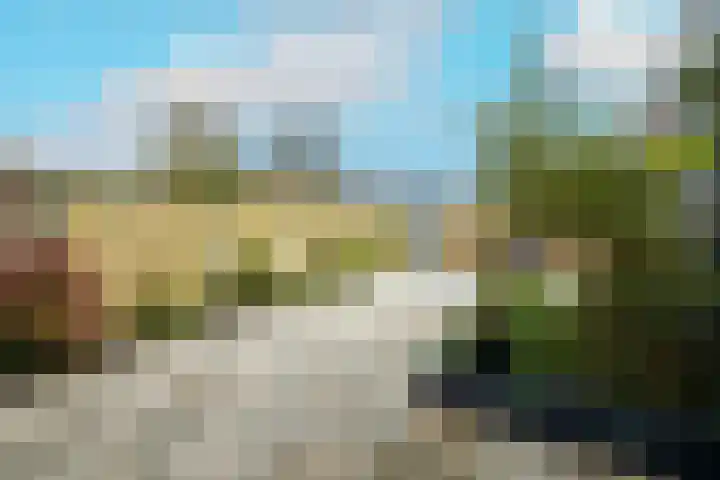 Berkenhove 2 Kwintsheul thumbnail 30