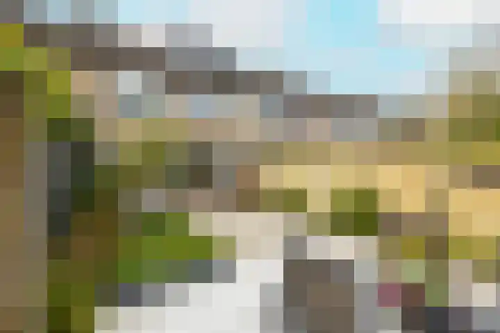 Berkenhove 2 Kwintsheul thumbnail 34