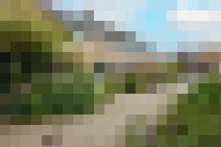 Berkenhove 2 Kwintsheul thumbnail 36