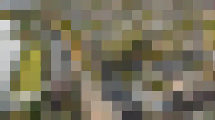 Berkenhove 2 Kwintsheul thumbnail 38