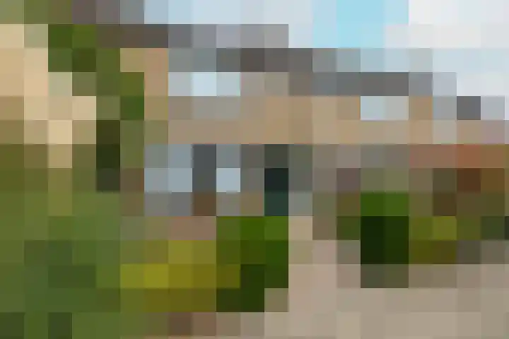 Berkenhove 2 Kwintsheul thumbnail 5