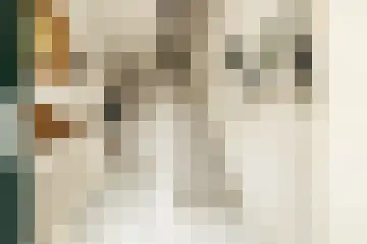 Berkenhove 2 Kwintsheul thumbnail 6