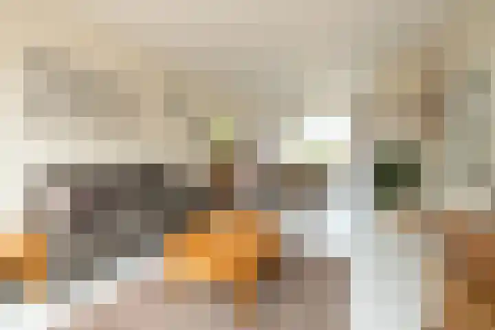 Berkenhove 2 Kwintsheul thumbnail 8