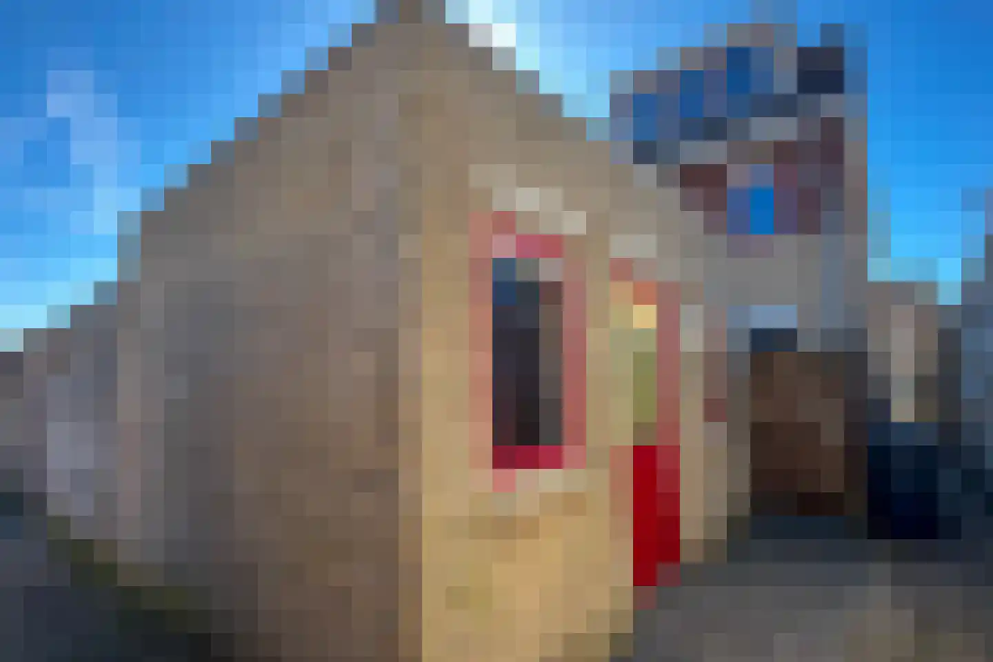 Berkenhove 6 E Kwintsheul thumbnail 17