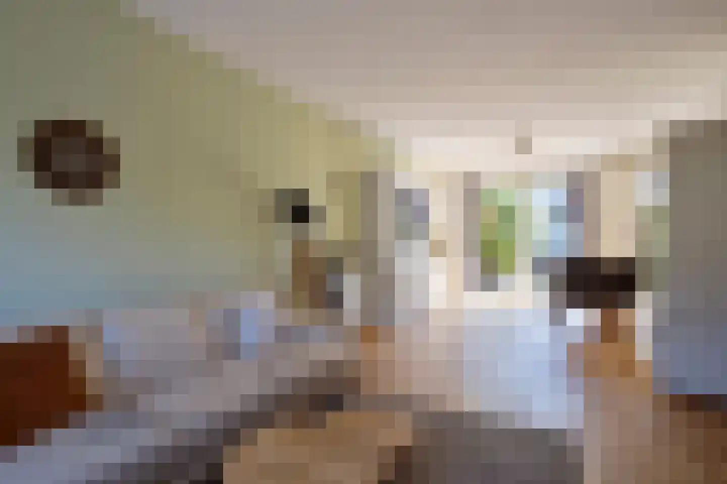 Berkenhoven 37 Maastricht thumbnail 7