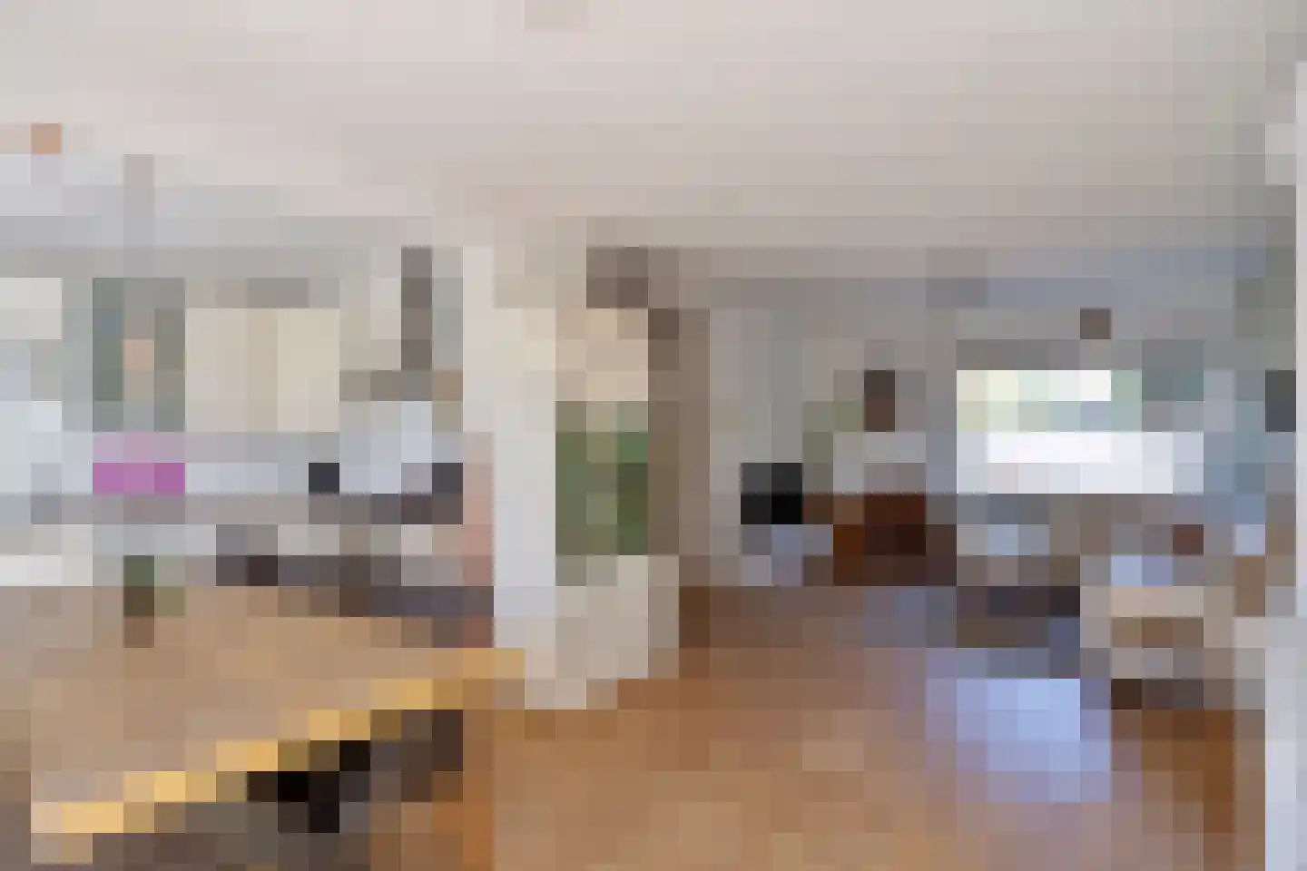 Berkenhoven 37 Maastricht thumbnail 8