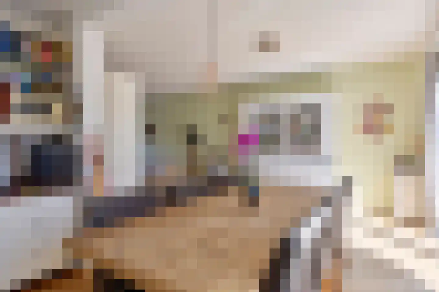 Berkenhoven 37 Maastricht thumbnail 9