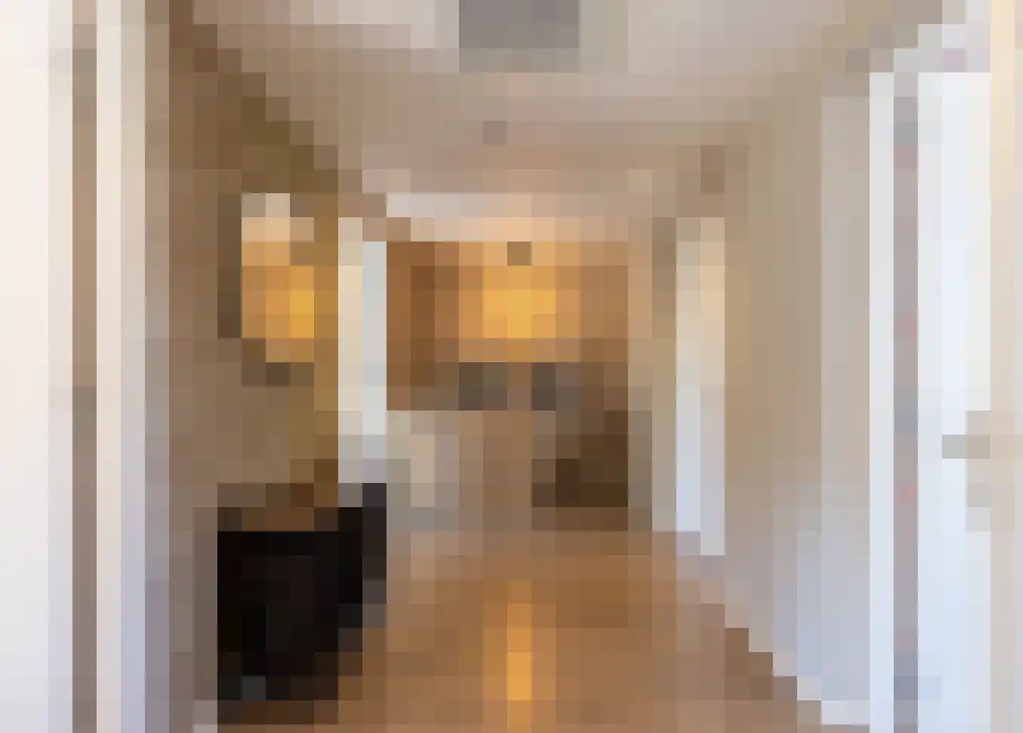 Berkenhovestraat 16 Aalten thumbnail 16
