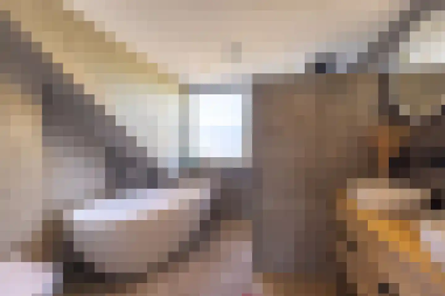 Berkenhovestraat 16 Aalten thumbnail 17