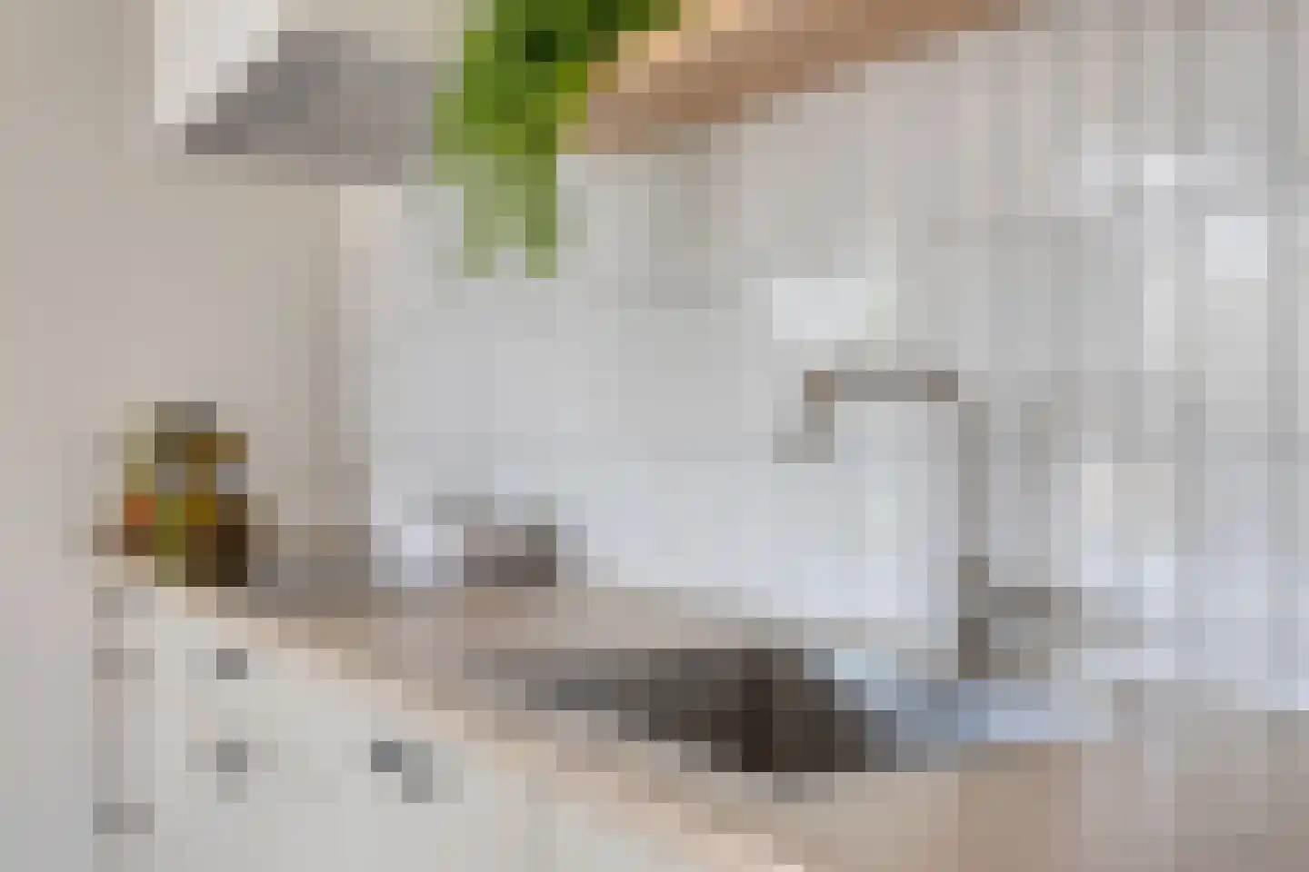 Berkenhovestraat 21 Aalten thumbnail 12