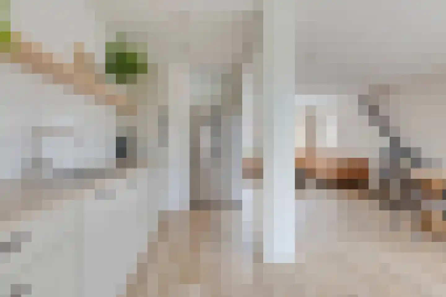 Berkenhovestraat 21 Aalten thumbnail 13