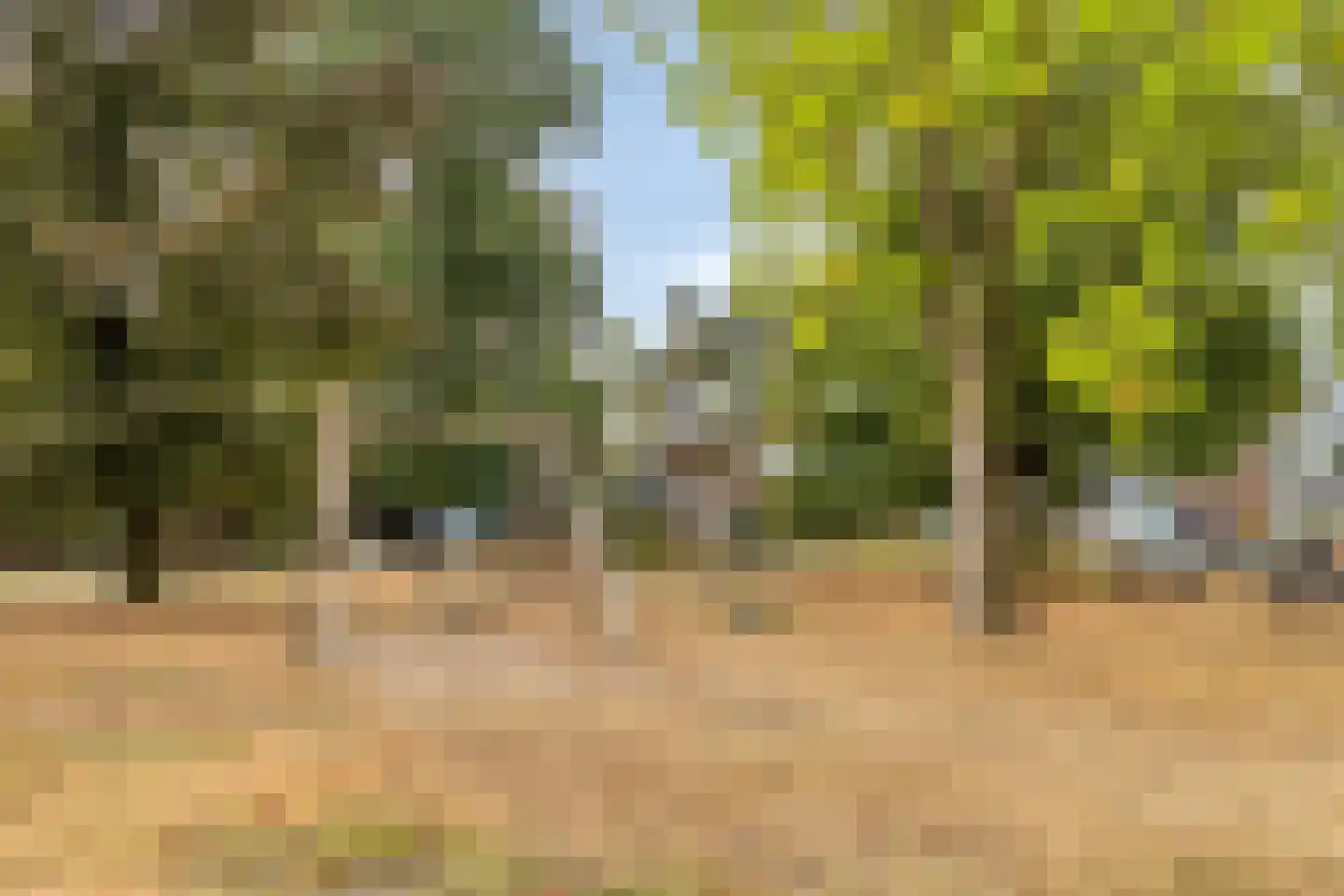 Berkenhovestraat 21 Aalten thumbnail 32