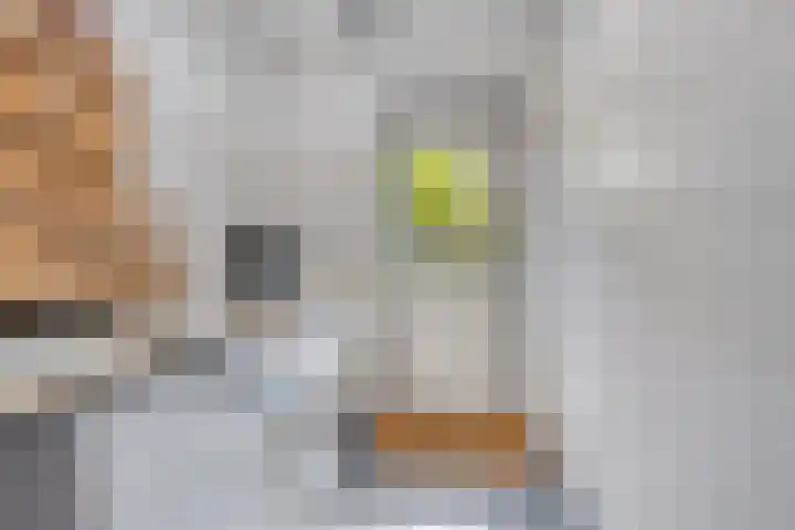 Berkenhovestraat 31 Aalten thumbnail 13