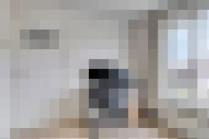Berkenhovestraat 31 Aalten thumbnail 23