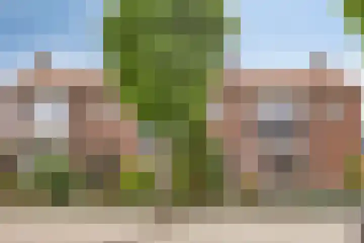 Berkenhovestraat 31 Aalten thumbnail 31