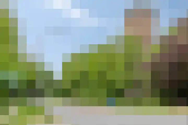 Berkenhovestraat 31 Aalten thumbnail 35