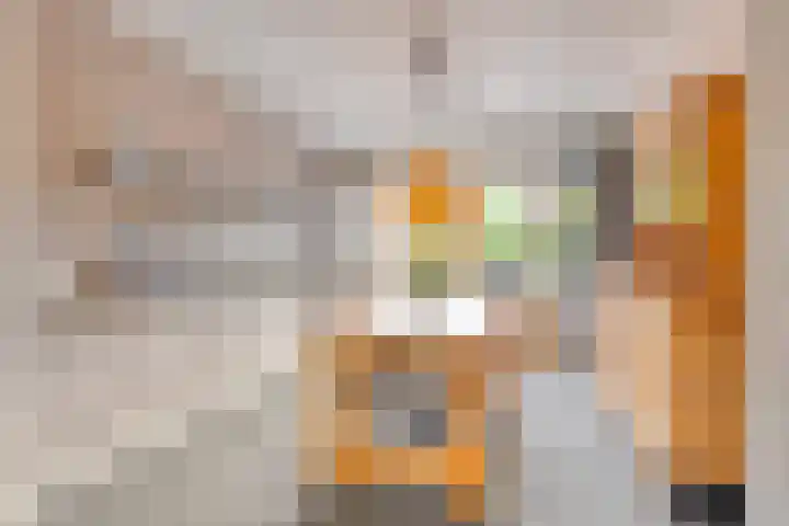 Berkenhovestraat 31 Aalten thumbnail 6