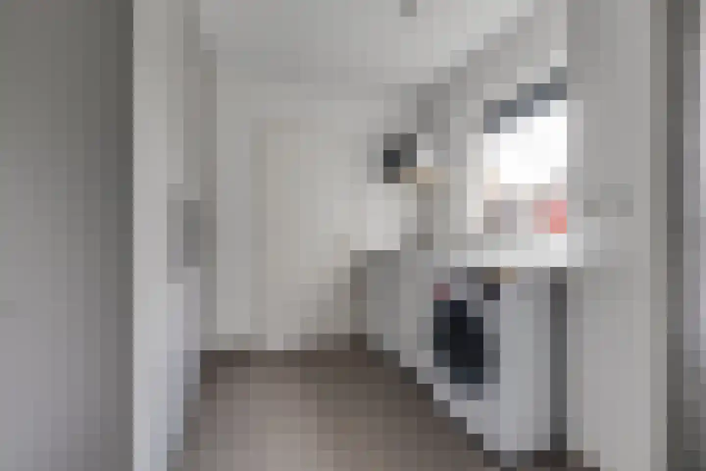 Berkenhovestraat 38 Aalten thumbnail 11