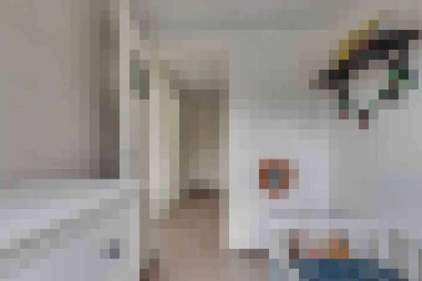 Berkenhovestraat 38 Aalten thumbnail 23