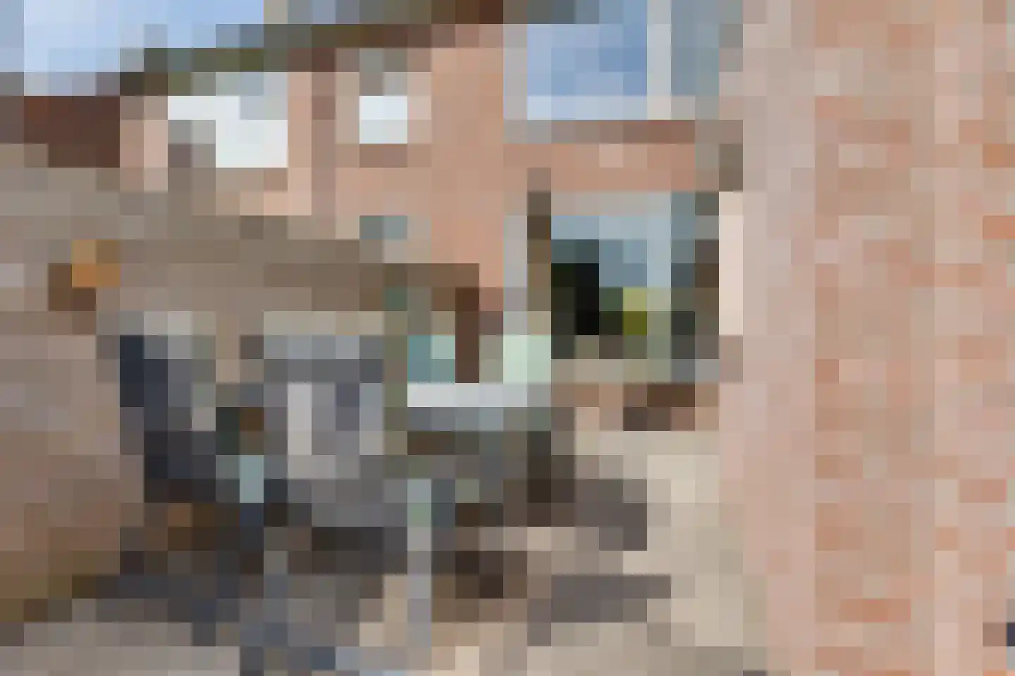 Berkenhovestraat 38 Aalten thumbnail 28