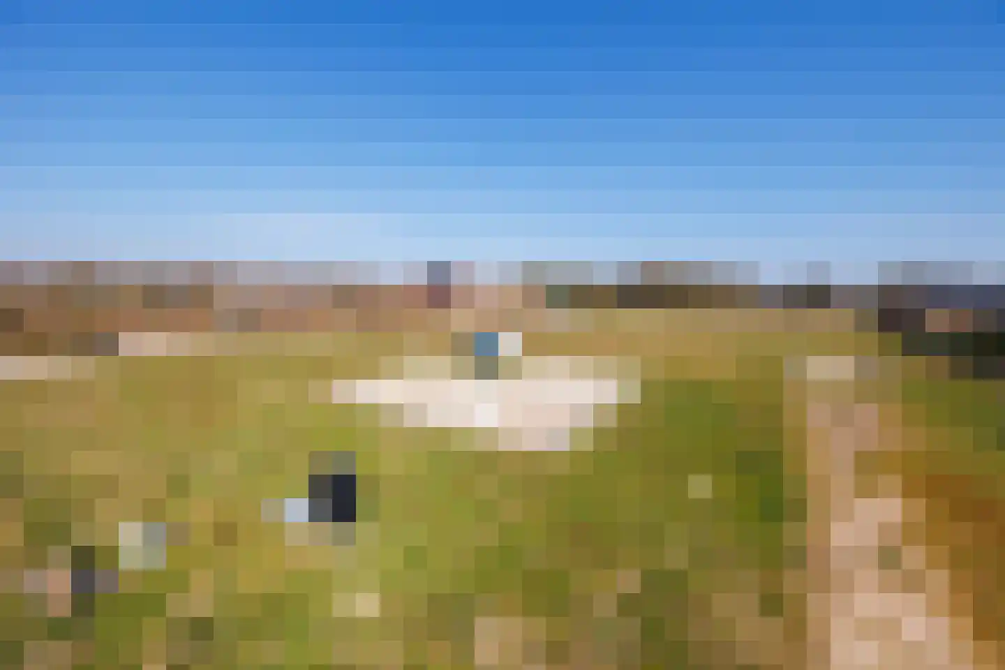 Berkenkamp 34 Vianen NB thumbnail 12