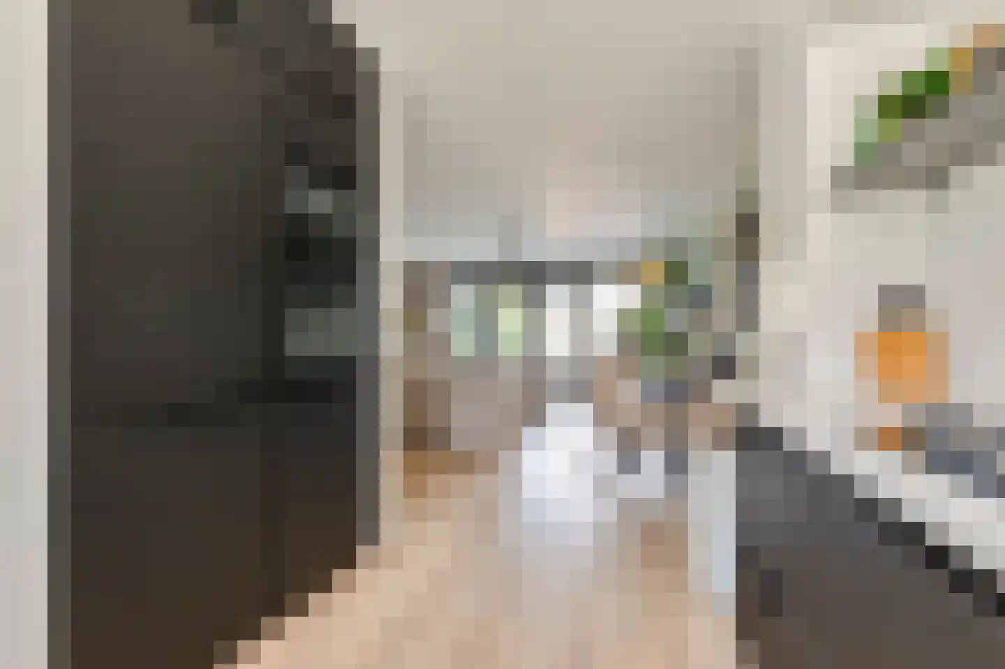Berkenlaan 1 B Doorwerth thumbnail 16