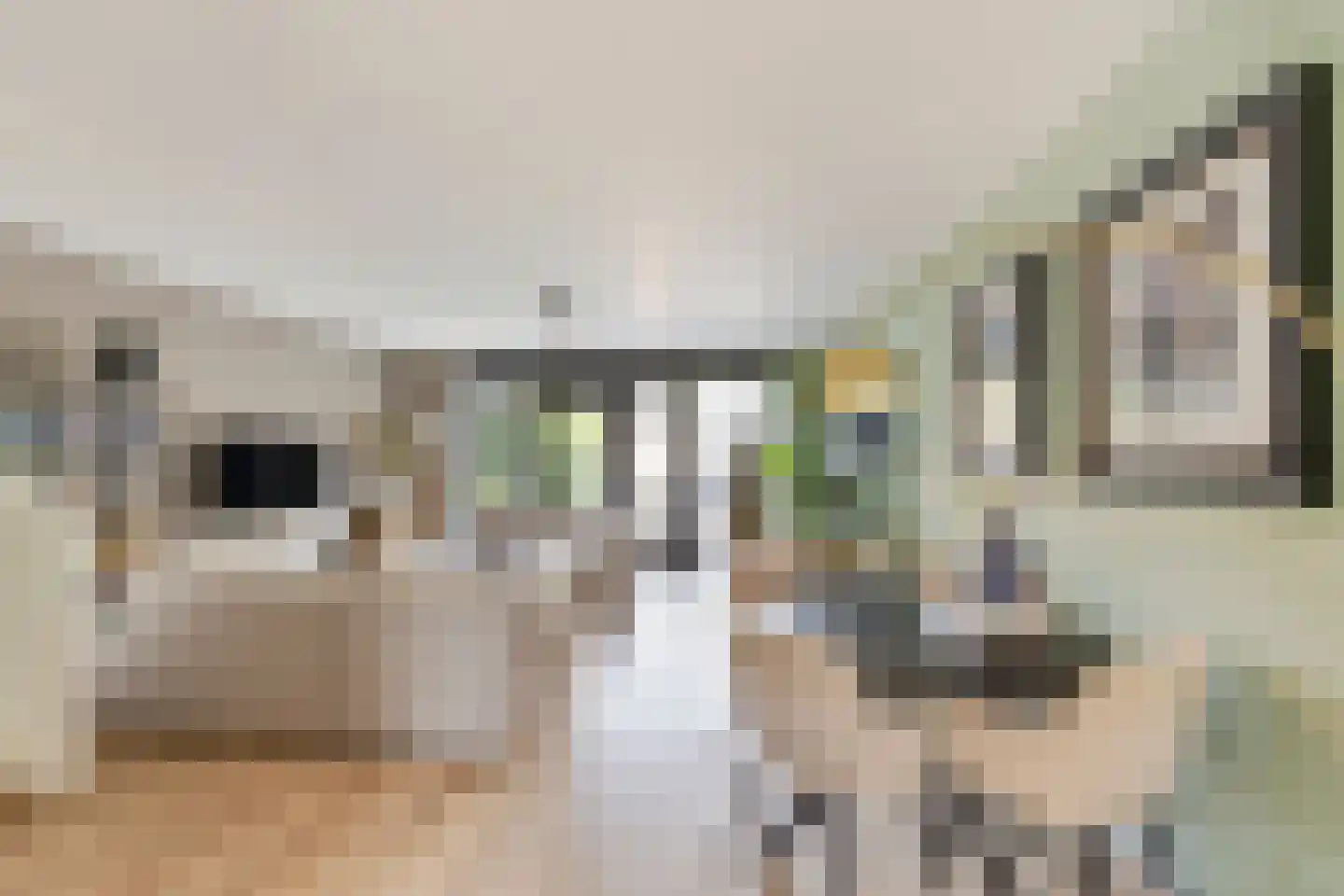 Berkenlaan 1 B Doorwerth thumbnail 17