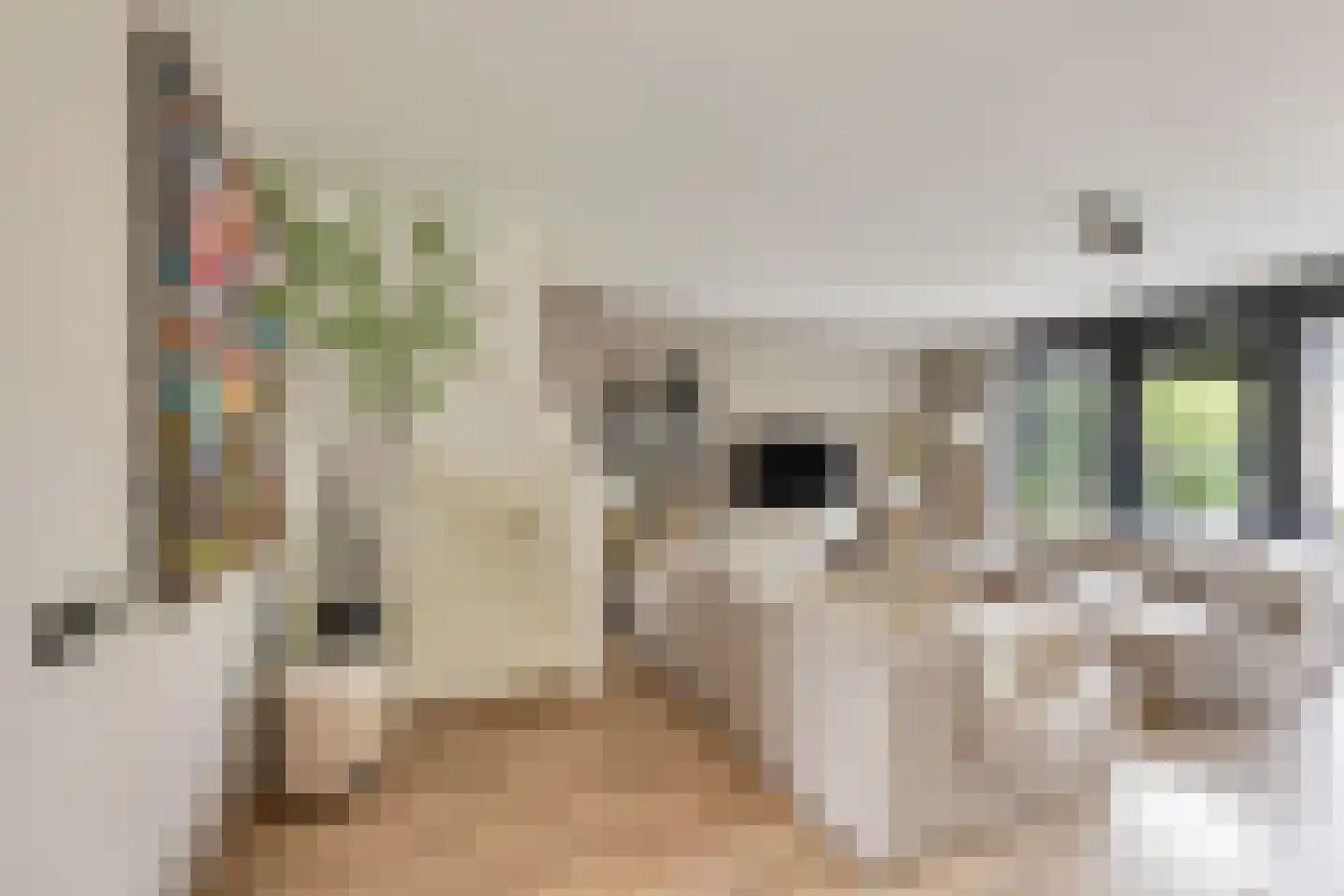 Berkenlaan 1 B Doorwerth thumbnail 18