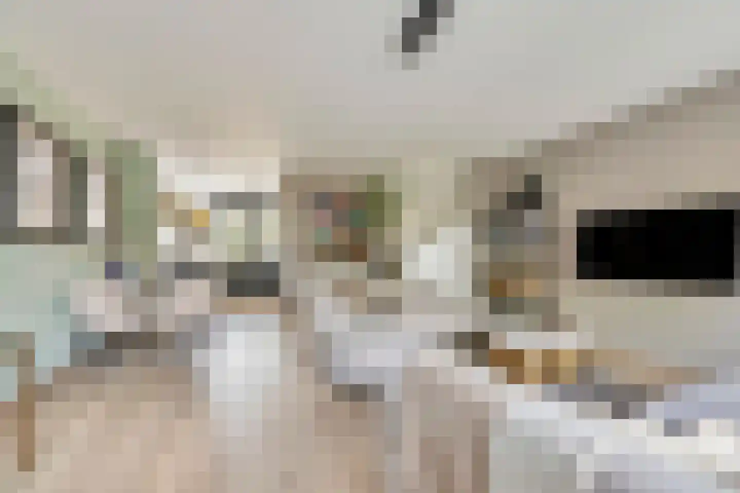 Berkenlaan 1 B Doorwerth thumbnail 20