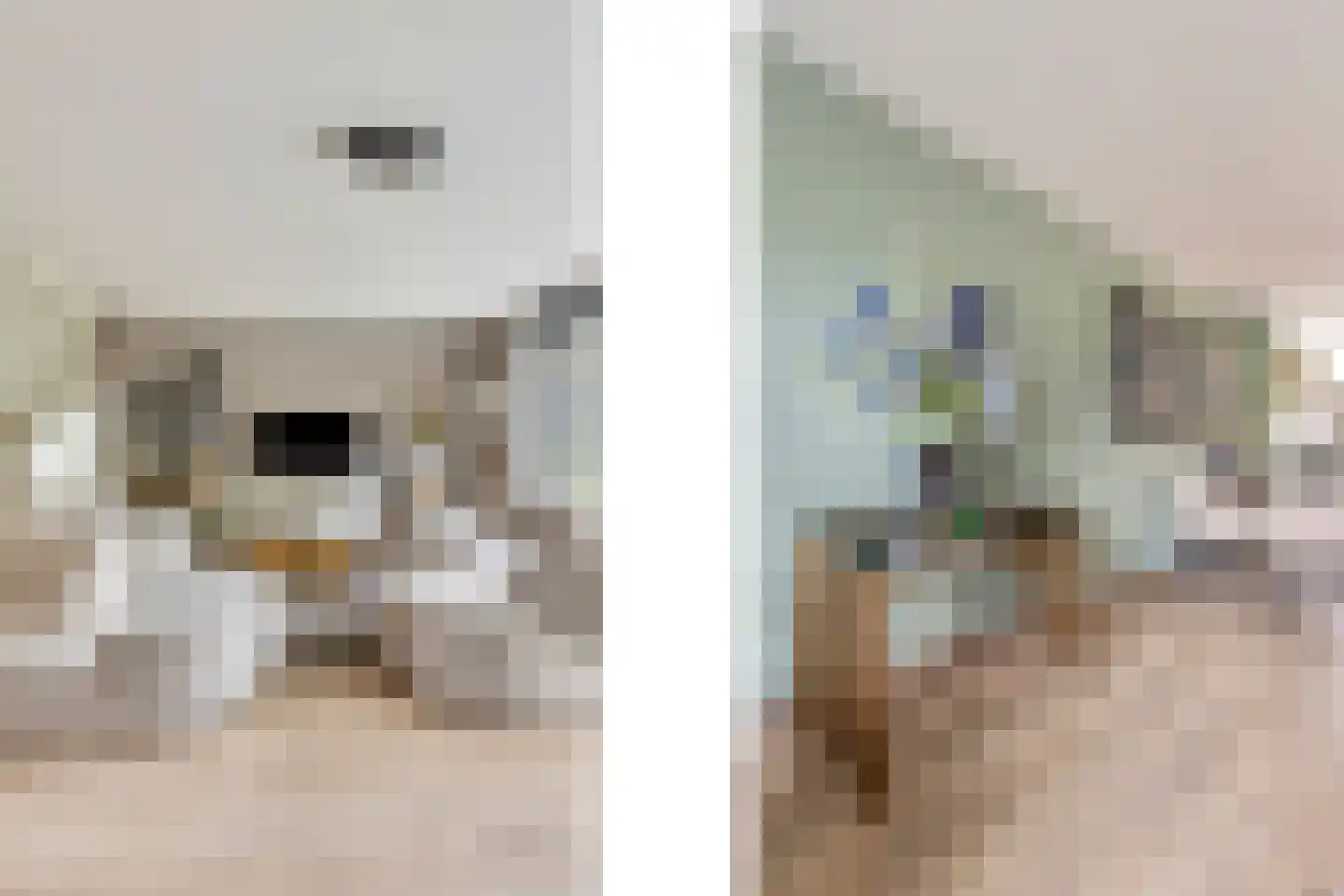 Berkenlaan 1 B Doorwerth thumbnail 22