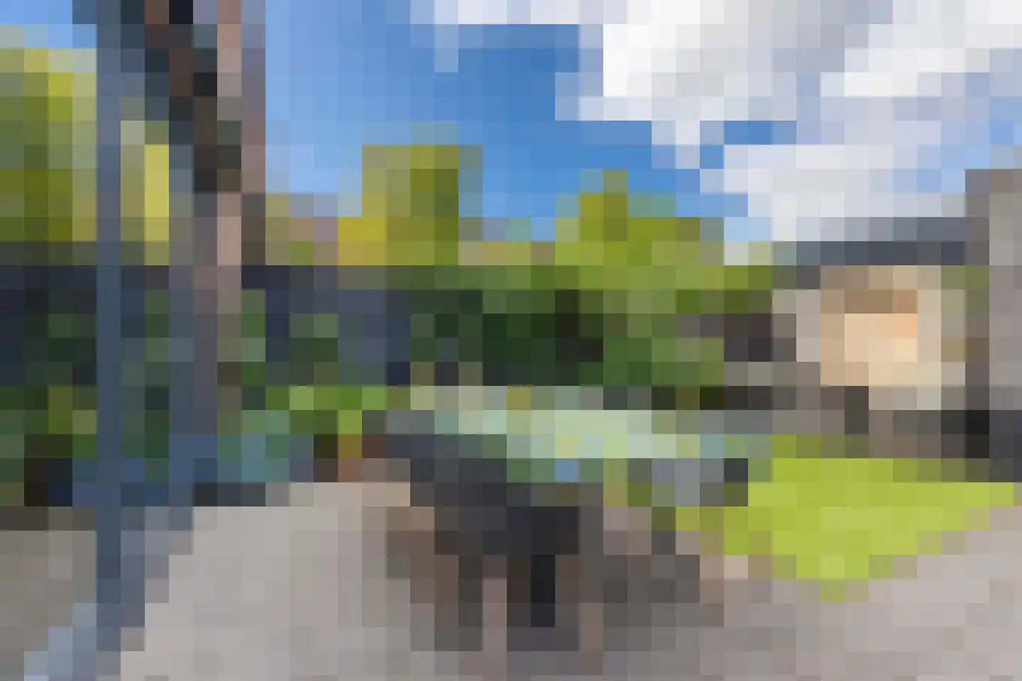 Berkenlaan 1 B Doorwerth thumbnail 24