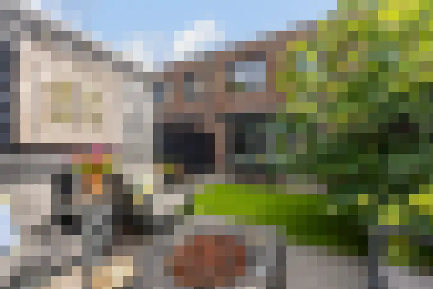 Berkenlaan 1 B Doorwerth thumbnail 27