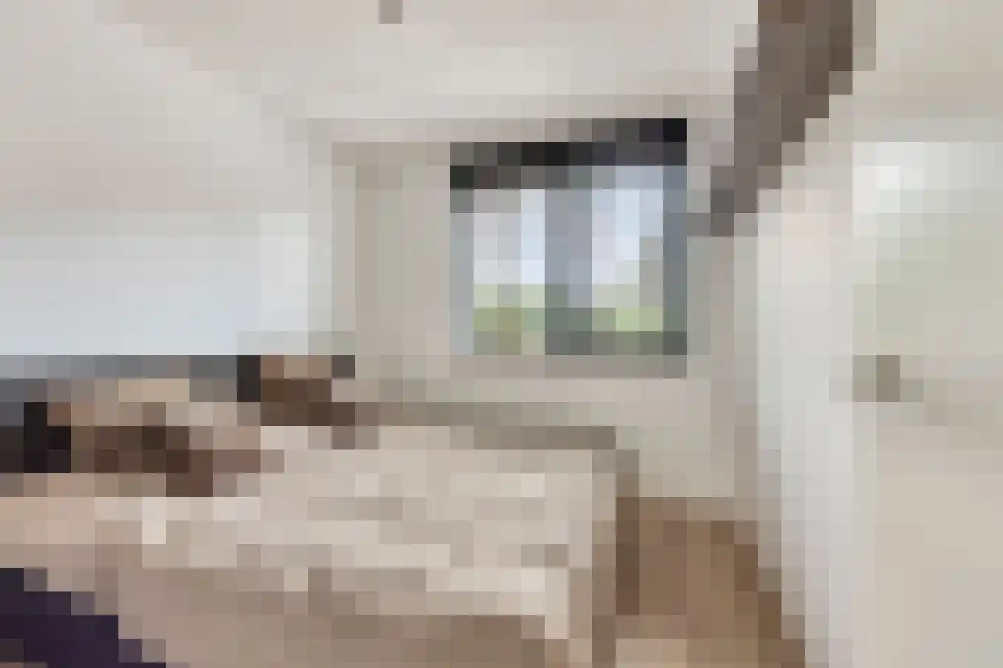 Berkenlaan 1 B Doorwerth thumbnail 31
