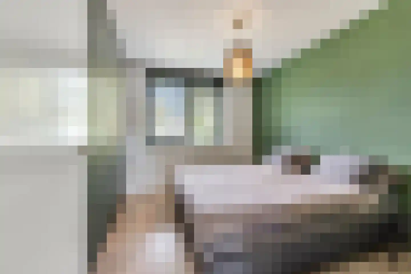 Berkenlaan 1 B Doorwerth thumbnail 32