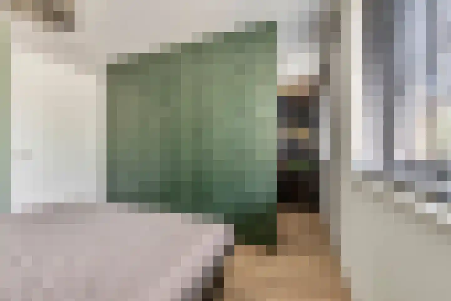 Berkenlaan 1 B Doorwerth thumbnail 33