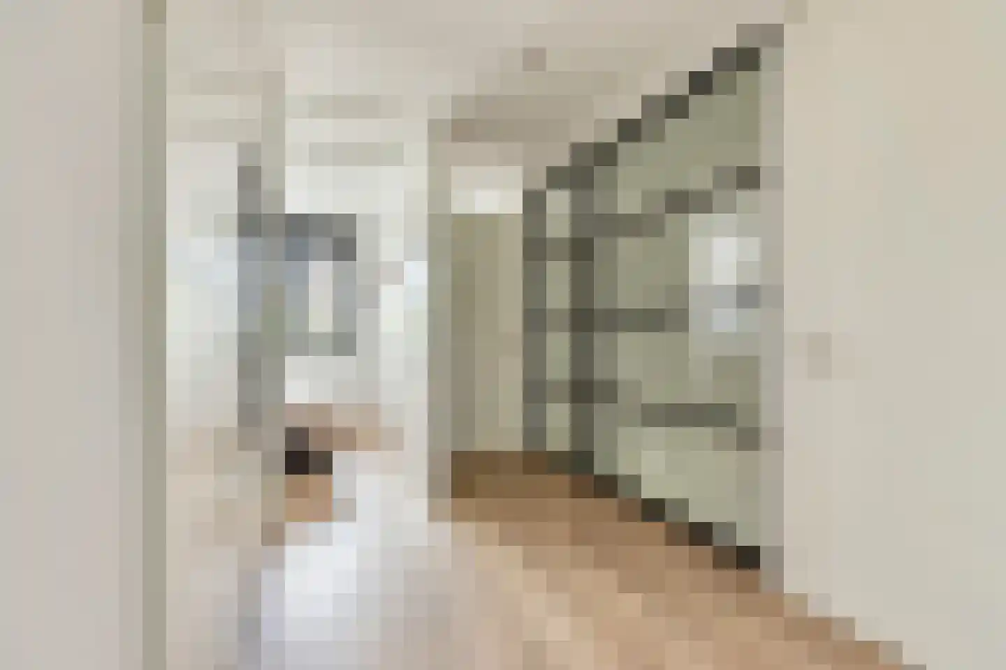 Berkenlaan 1 B Doorwerth thumbnail 35