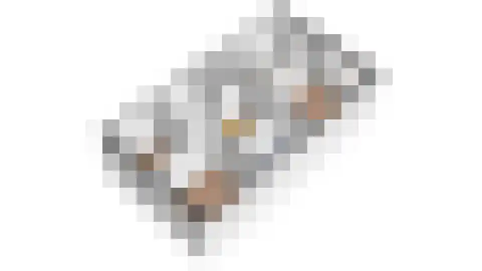 Berkenlaan 1 B Doorwerth thumbnail 42