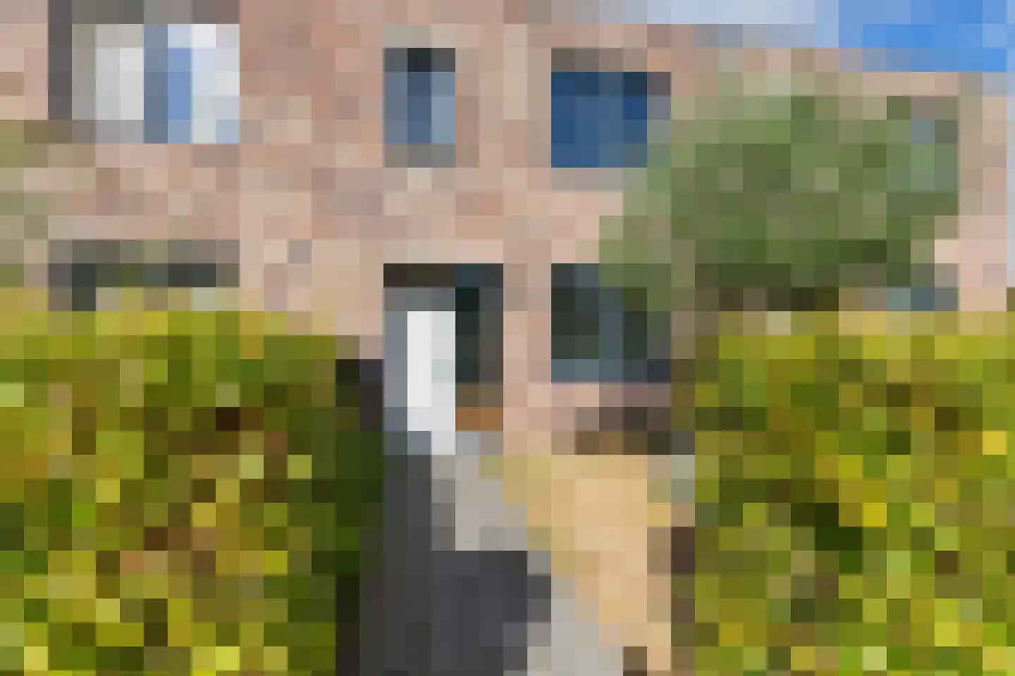 Berkenlaan 1 B Doorwerth thumbnail 6