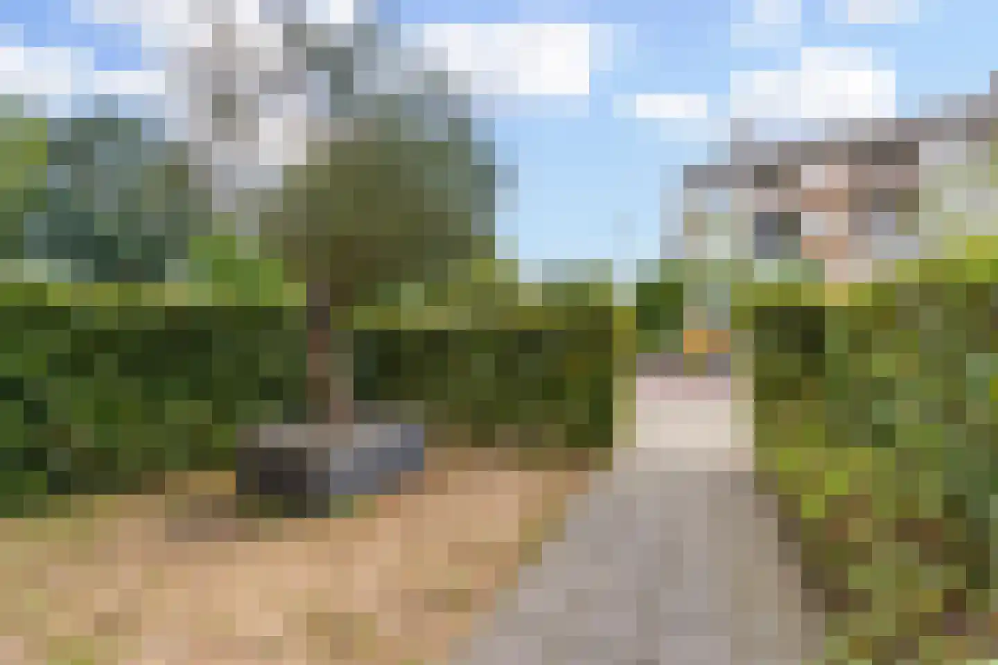 Berkenlaan 1 B Doorwerth thumbnail 8