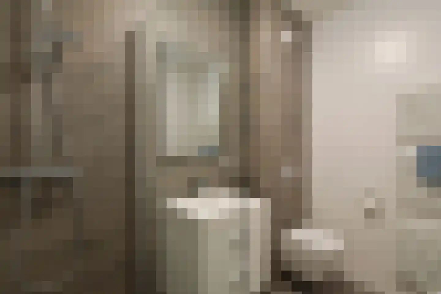 Berkenlaan 1 C Doorwerth thumbnail 23