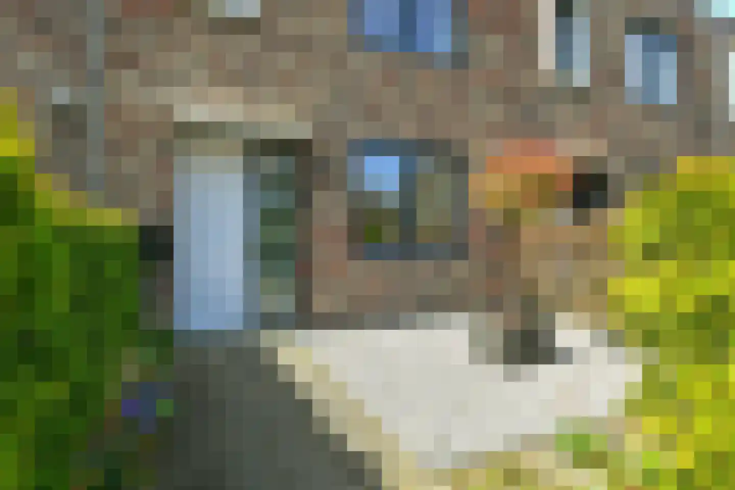 Berkenlaan 1 C Doorwerth thumbnail 5
