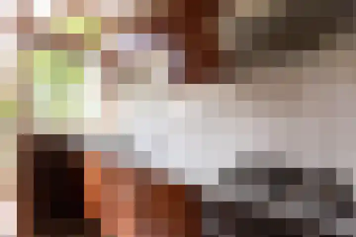 Berkenlaan 1 Castricum thumbnail 12